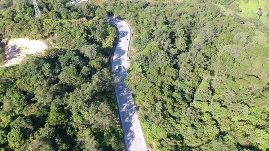 森林公路航拍树林道路汽车行驶航拍山区山路