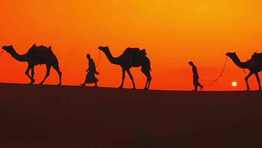 一带一路沙漠骆驼丝绸之路敦煌西域商队夕阳