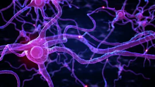 大脑神经元3D动画神经元细胞发送电化学信号视频素材模板下载
