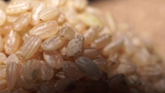 粗粮糙米健康纤维视频素材模板下载