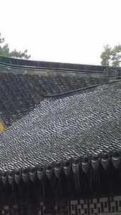 竖版航拍寺庙下雨素材苏州北寺塔实拍