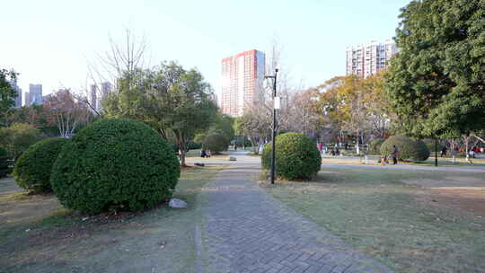 武汉洪山区关山荷兰风情园风景