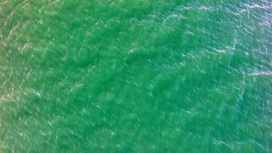 航拍大理洱海和飞翔的海鸥视频素材模板下载