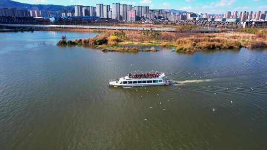 滇池上的游轮与海鸥伴飞视频素材模板下载