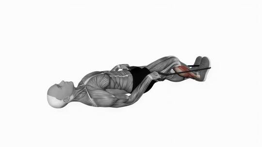 小腿拉伸带绳健身锻炼3D演示动画视频素材模板下载