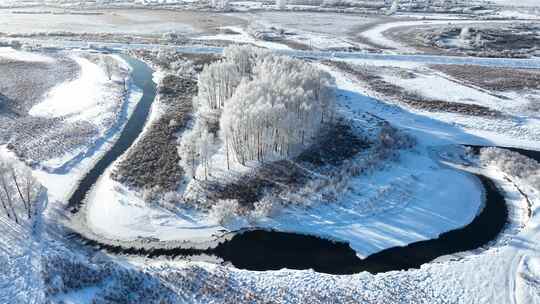 大兴安岭初冬湿地河流雪松美景