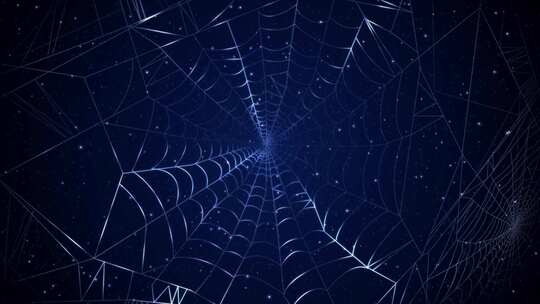 蜘蛛网线条