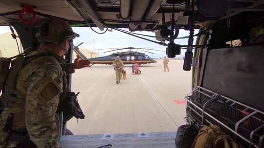 美国巡逻队成员带着军犬走向飞机视频素材模板下载