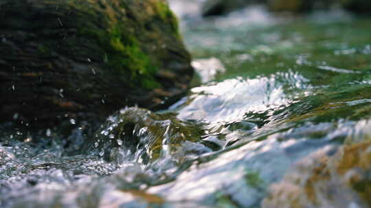 森林溪水流水花清澈山泉青苔藓小溪泉水