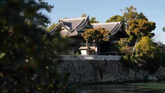 平静的一天，美丽的日本古老神社被树木包围视频素材模板下载