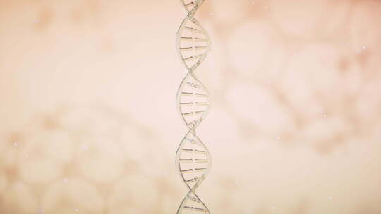 DNA螺旋动画