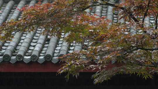 重庆雨季下雨屋檐实拍