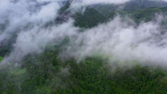 航拍雨后群山云雾缭绕山峦叠嶂山脉山川