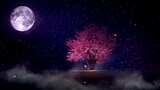 唯美星空下的樱花树高清在线视频素材下载