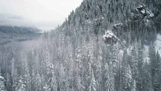 山，冬天，雪，树