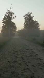特写日出时单身男子在浓雾掩盖的森林中行走