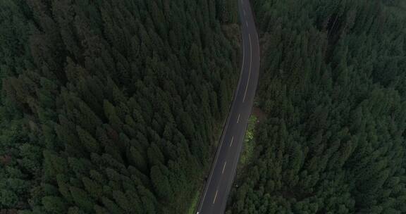 航拍汽车行驶在瓦屋山湖边林间公路