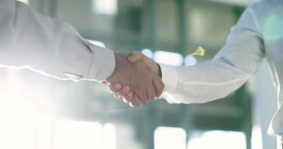 特写，商务人士和员工握手，伙伴关系和协作