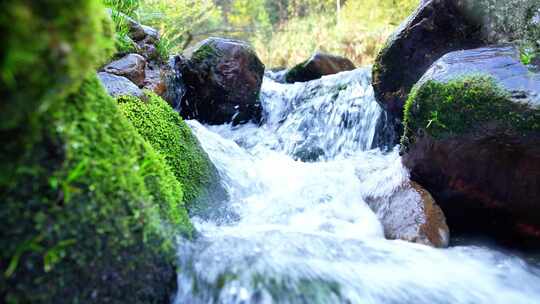 峡谷小溪溪水山泉河流