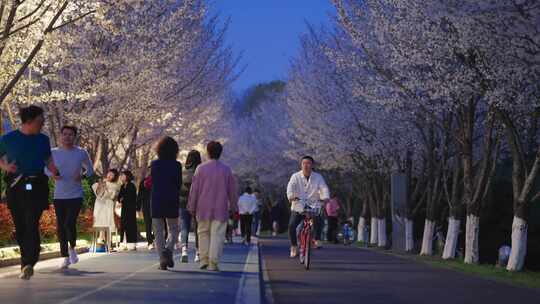 杭州滨江樱花跑道