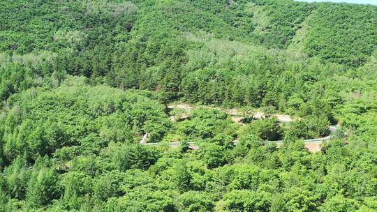 【航拍】草原风景 坝上草原  绿水青山