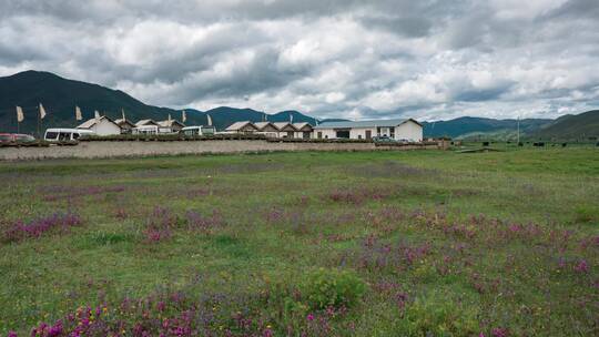 香格里拉依拉草原