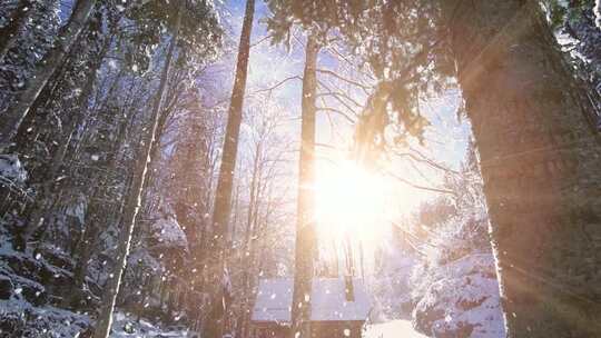 夕阳下的冬季森林雪落慢镜头