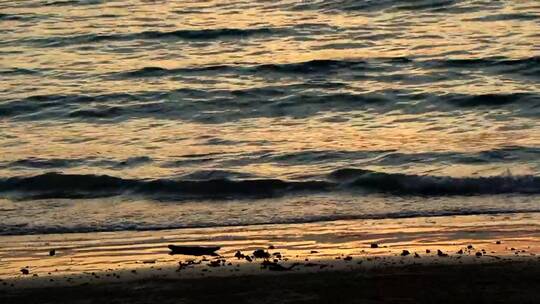 反射平静日落的波浪