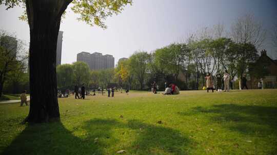 公园大面积绿草地一群人悠闲休憩玩耍