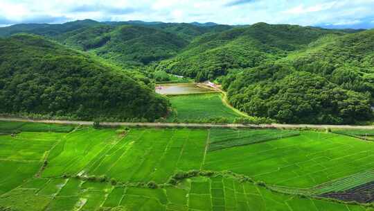 辽宁抚顺新宾青山绿水乡村振兴