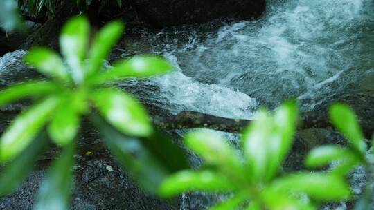 高清4K降水雨季山泉瀑布流水升格视频素材