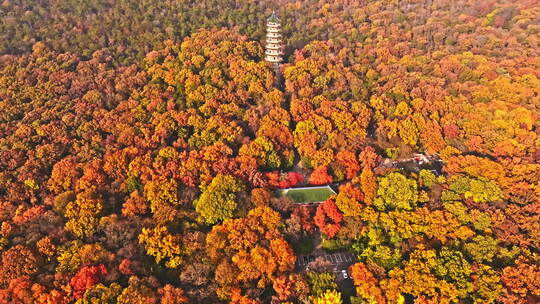 南京钟山风景区灵谷寺秋景