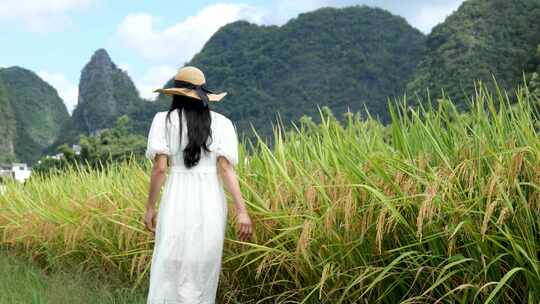 年轻女子在稻田里走着看着稻谷