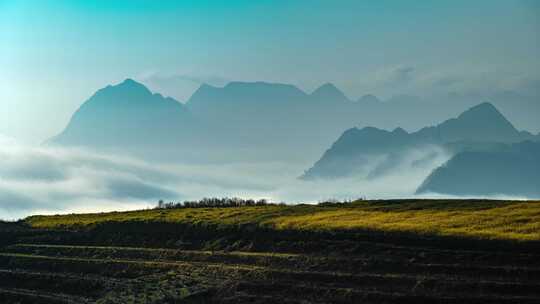 山峦雾气油菜花延时