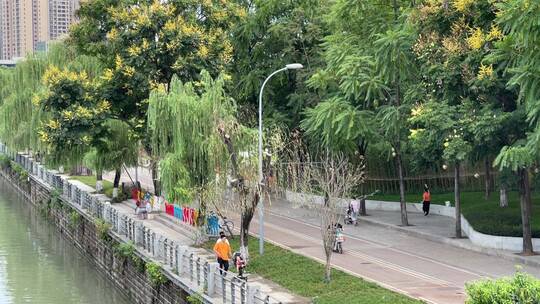 河边公园聊天散步锻炼骑自行车的人