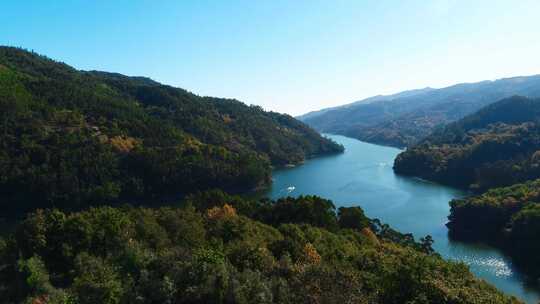 绿色森林河流山林山水航拍游船快艇