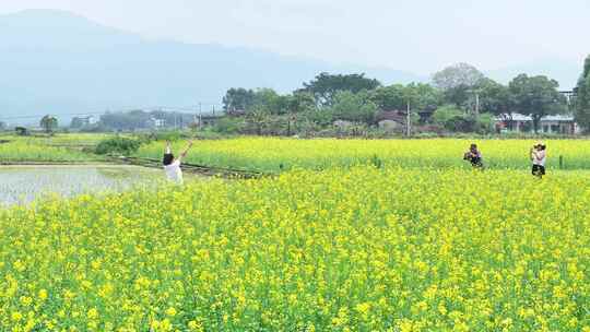 广东省韶关市曲江区樟市镇群星村