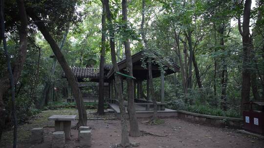 杭州宝石山景区栖霞洞