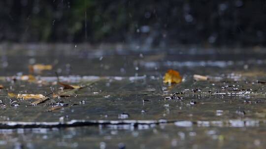 下雨雨滴滴在青石板上