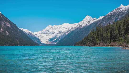 4K延时 西藏林芝巴松措湖泊森林雪山高原