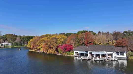 上海共青森林公园 杨浦区