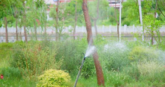 4K升格实拍自动喷水灌溉树木花草机