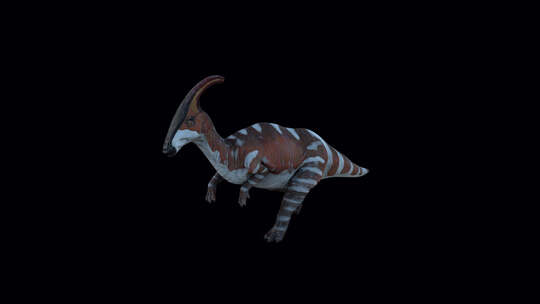 Parasaurolophus恐龙奔跑