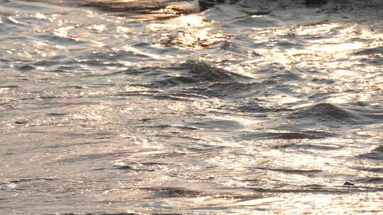 河流 流水 水面 奔流 江河 波涛 波浪翻滚视频素材模板下载