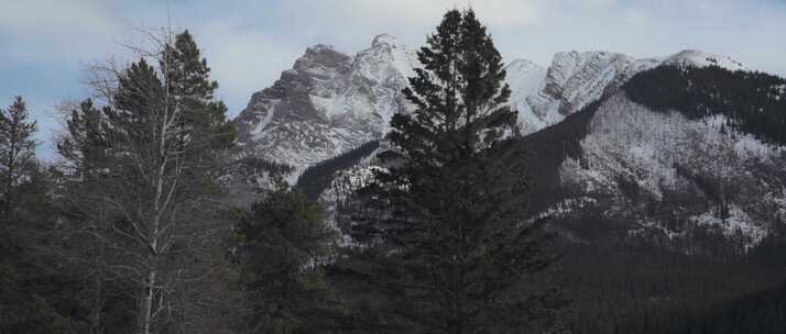 冬天，雪，冰，山