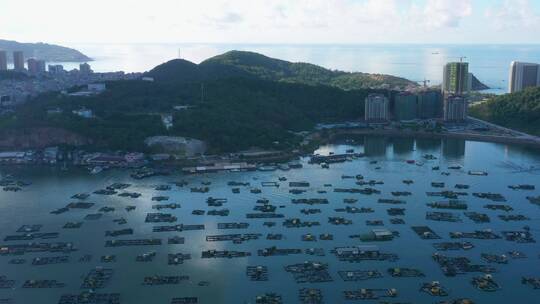 广东省阳江市海陵岛闸坡国家级中心渔港视频素材模板下载