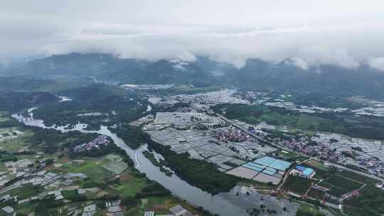 航拍广西桂林兴安葡萄种植基地