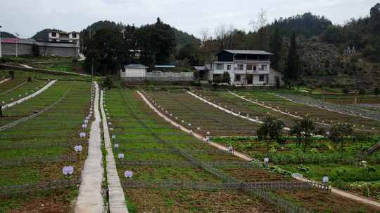 劳动空镜刨土锄地农场工人耕作劳作翻土