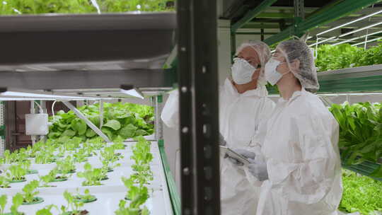 两位研究植物样本制作笔记的科学家