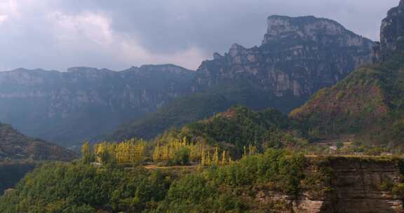 秋天太行山金色杨树各种自驾游【套组】